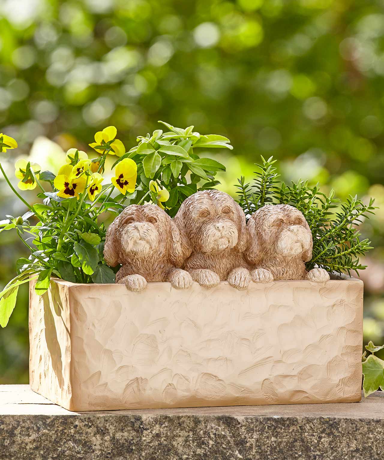 Damart Dogs Planter