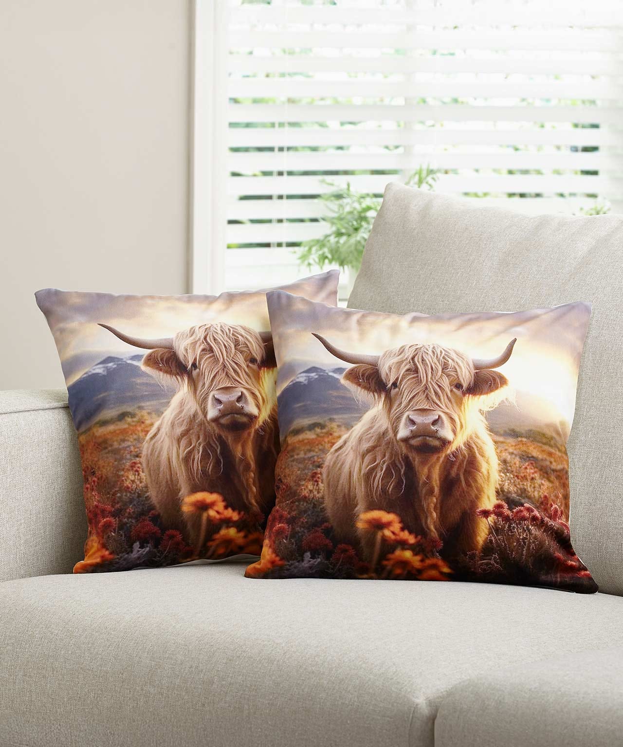 Damart Pack of Highland Cow Cushion Covers
