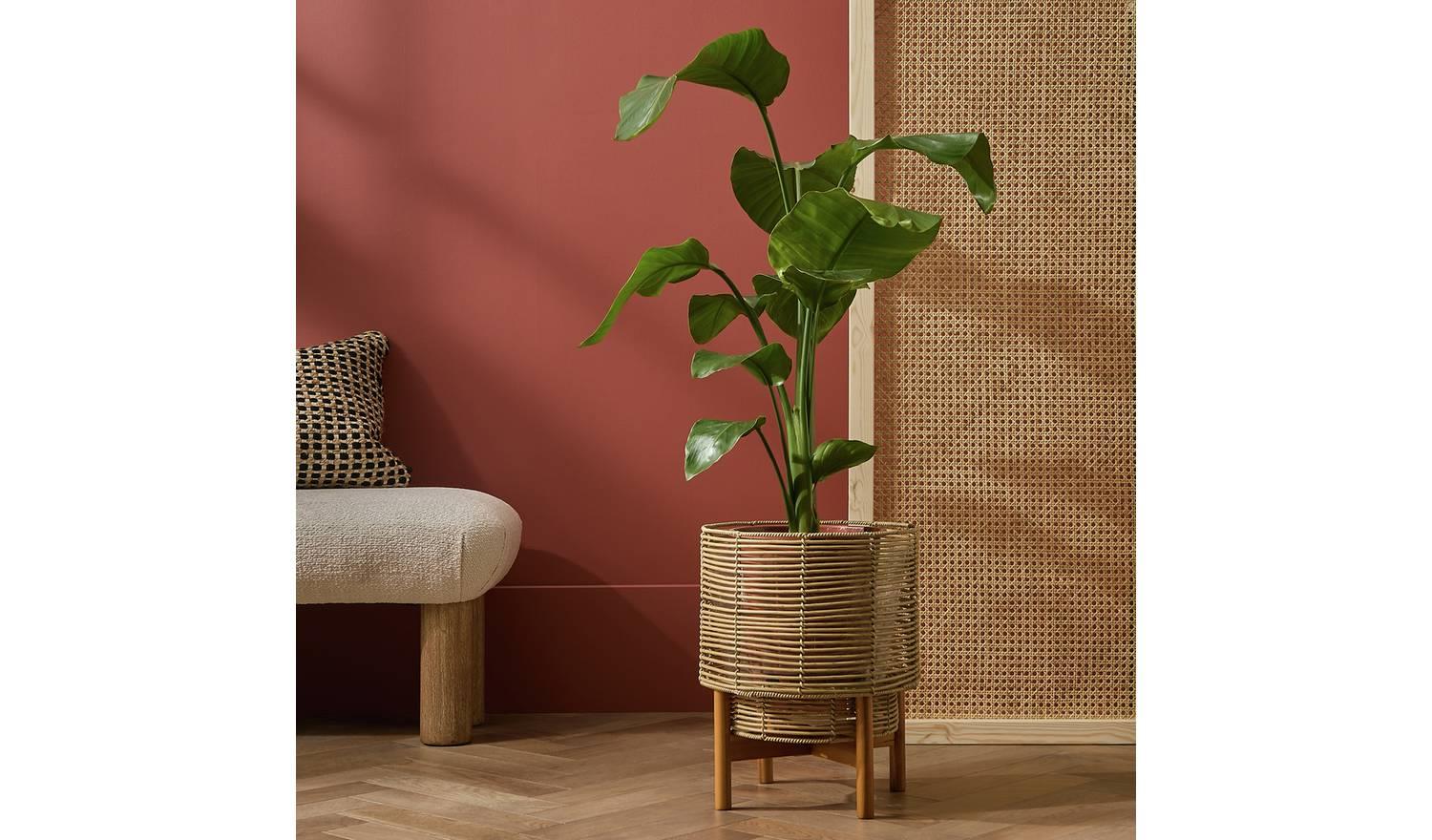 Large Woven Rattan Planter with Stand Natural Indoor Plant Pot Home Decor