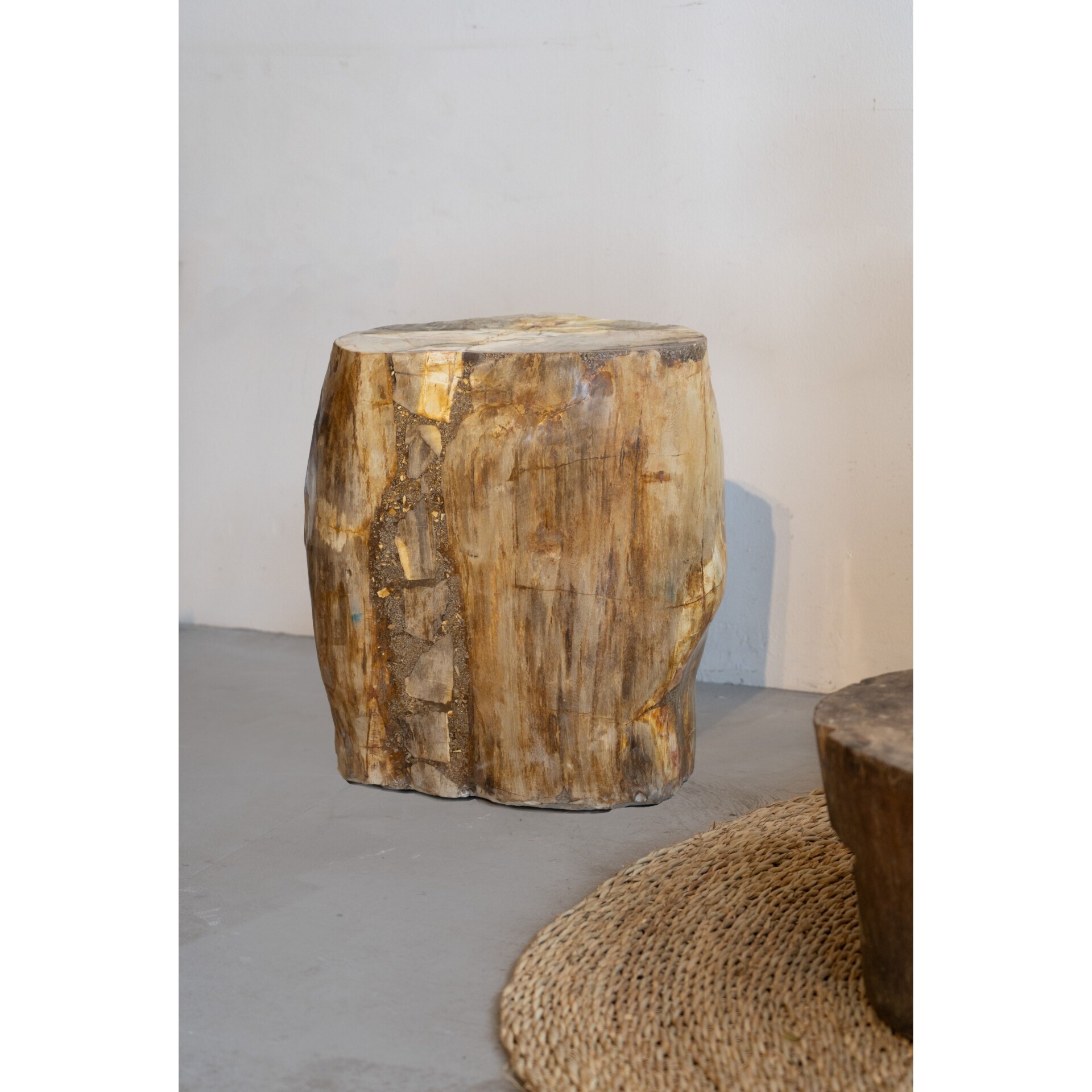 Petrified Wood Side Table  Stool