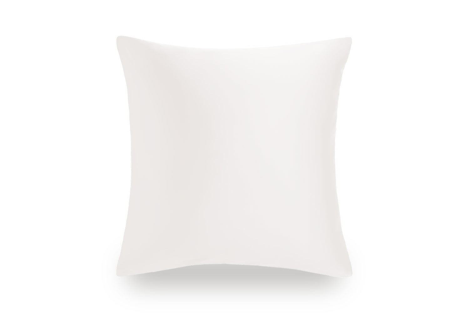 Ivory Pure Silk Cushion Cover - x