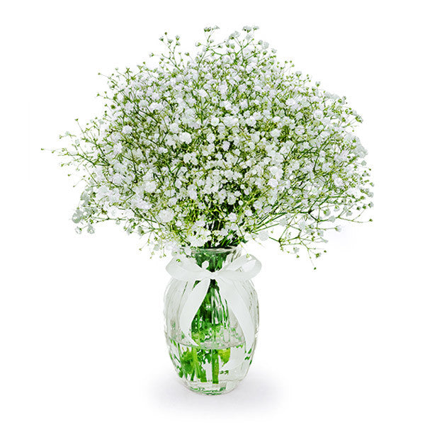 White Baby's Breath in a Vase Bouquet Vase Included