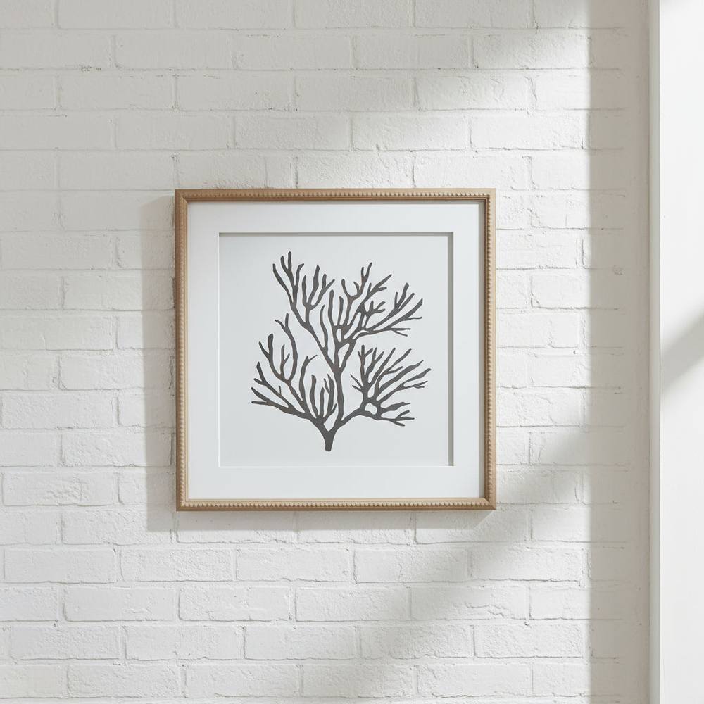Sostter Framed Coral Reef Coastal Wall Art In Black