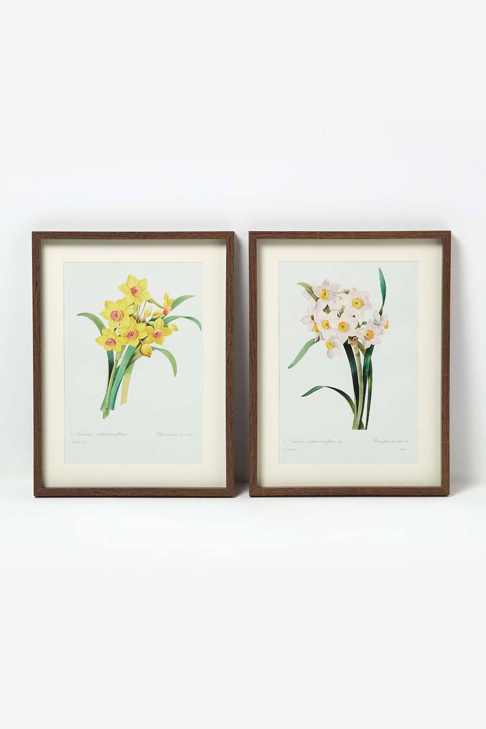 Homescapes Set Of Narcissus Flower Wall Art In Yellow