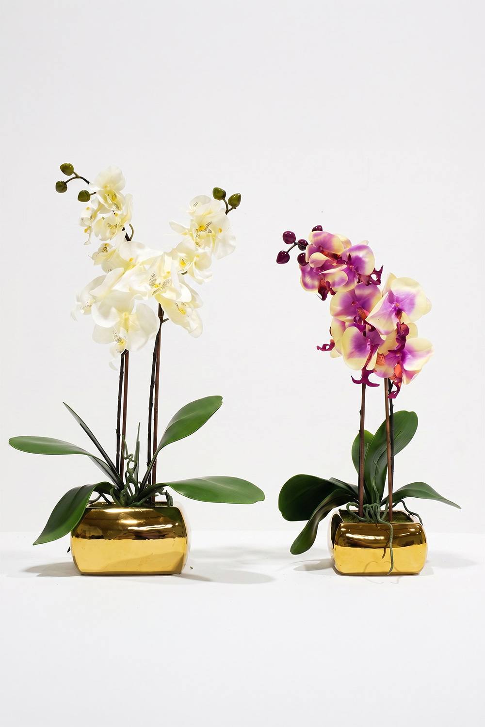 Homescapes Artificial White Orchid In Gold Vase, Set Of Faux Potted Flowers