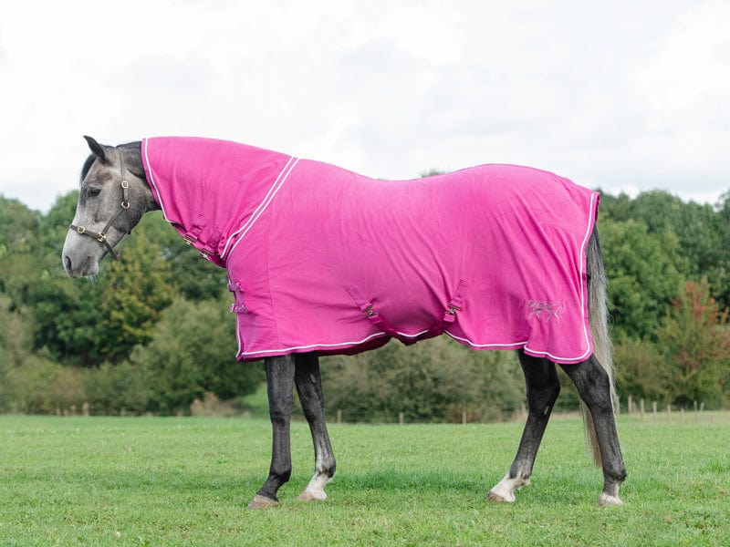 Fleece Rug With Neck Cover - Berry - '
