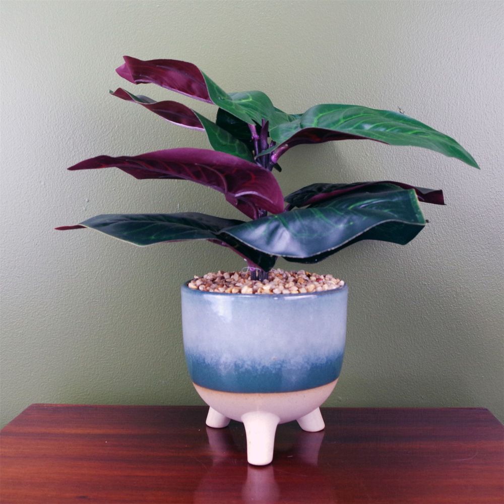 Premium Artificial Ficus Plant - Teal Blue Green Ceramic Planter