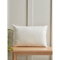 Duck Feather Cushion Pad - x