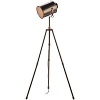 Dar Wisebuys Jake Task Floor Lamp In Pewter And Copper Finish