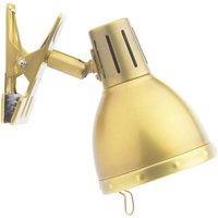 Dar OSA Osaka Light Clip on Desk Lamp in Brushed Brass