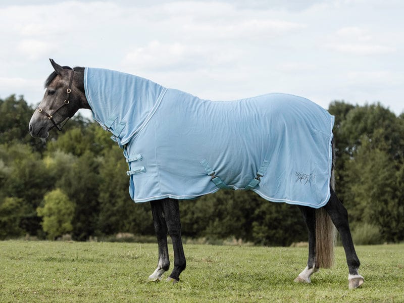 Fleece Rug With Neck Cover - Baby Blue - '