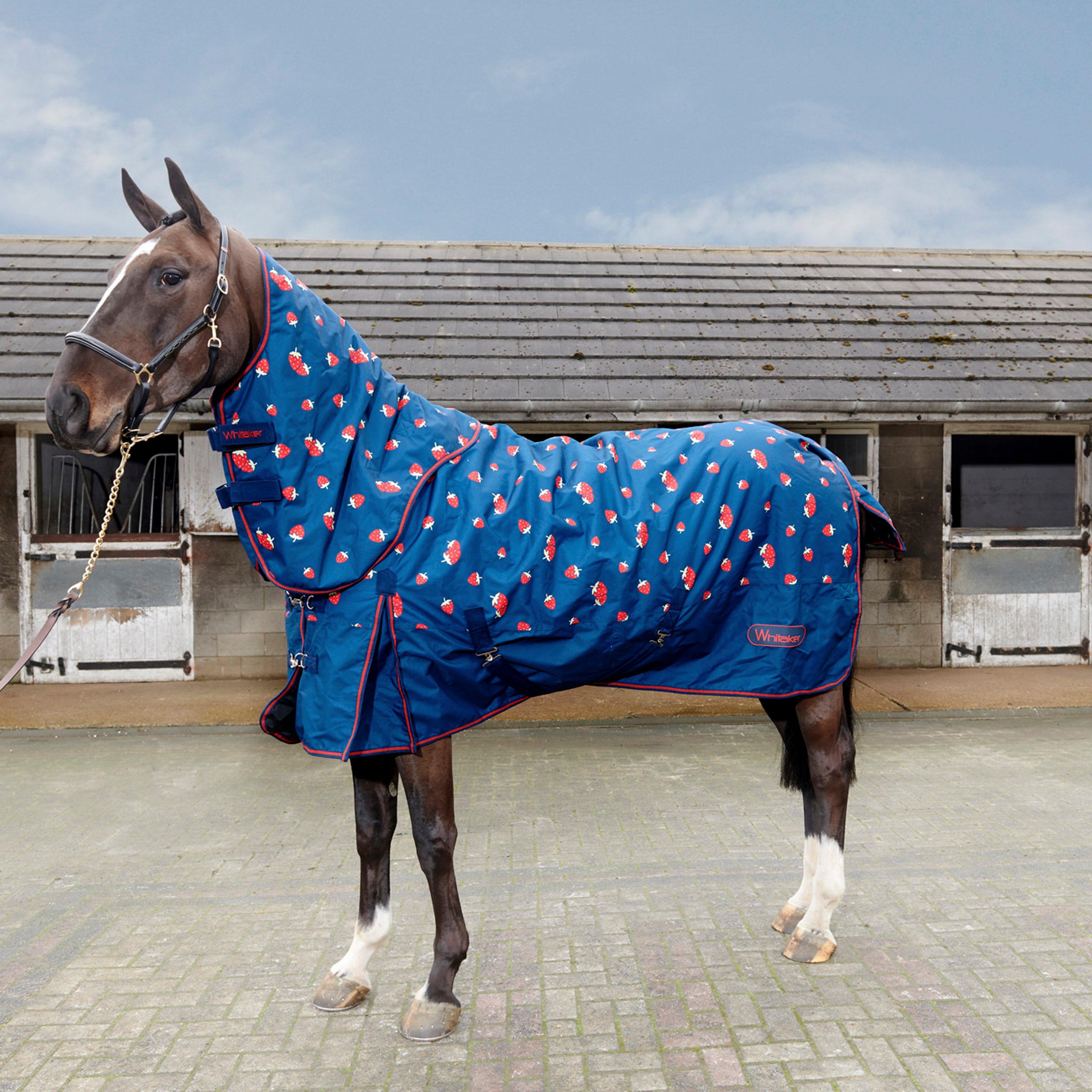 Alice Strawberry g Rug - Blue '