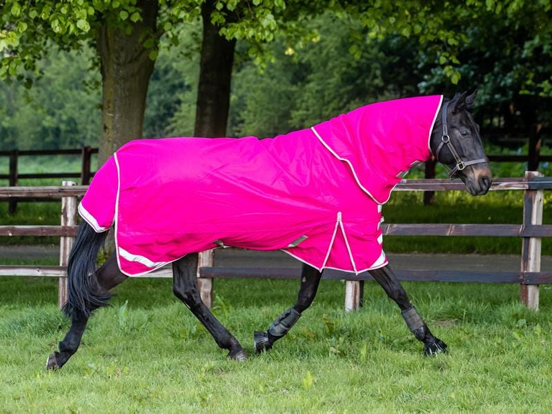 g Detachable Neck Turnout Rug - Pink - '